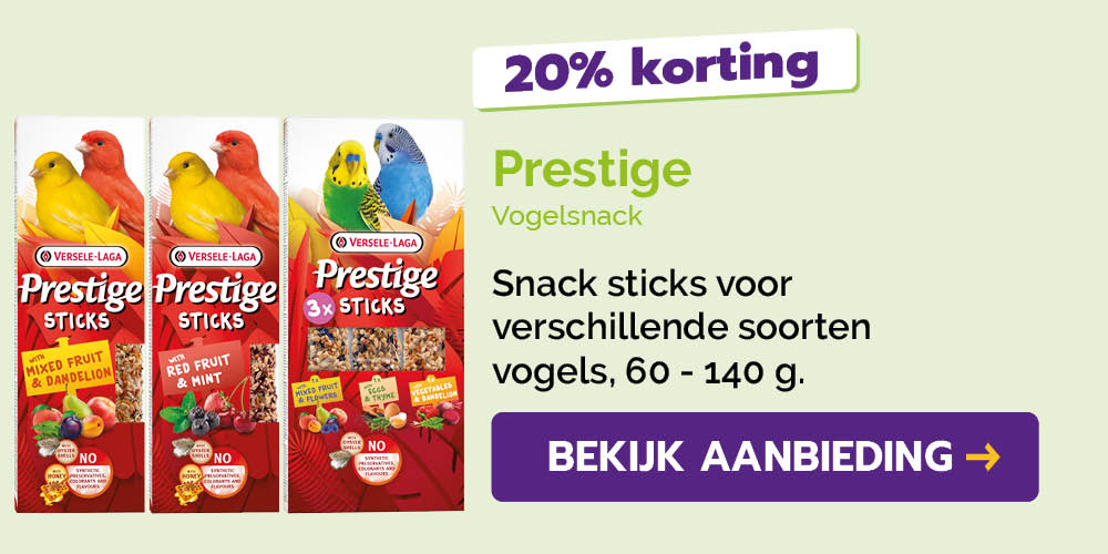 Dagaanbieding