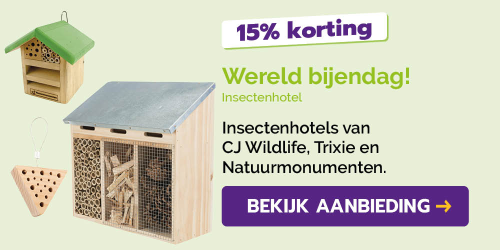 Dagaanbieding