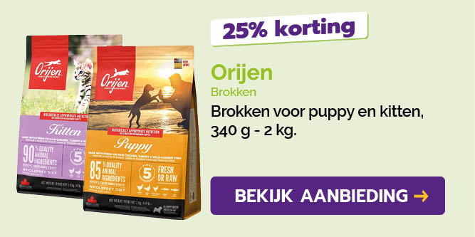 Dagaanbieding