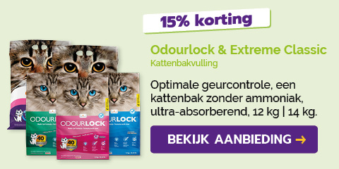 Dagaanbieding