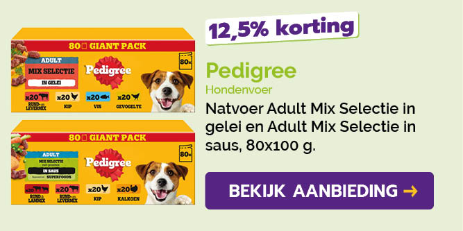Dagaanbieding