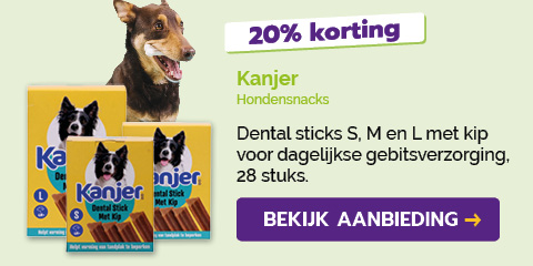 Dagaanbieding