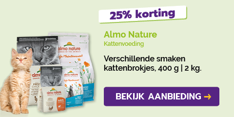 Dagaanbieding