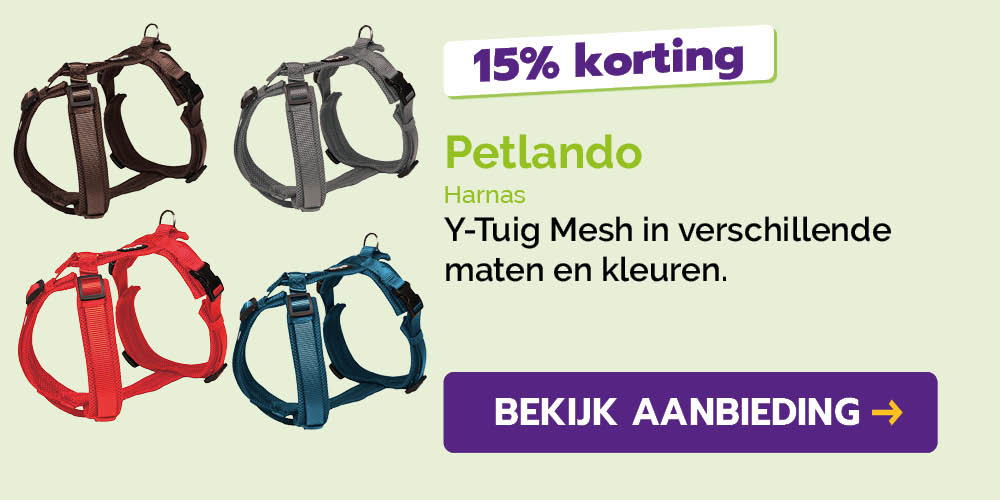 Dagaanbieding