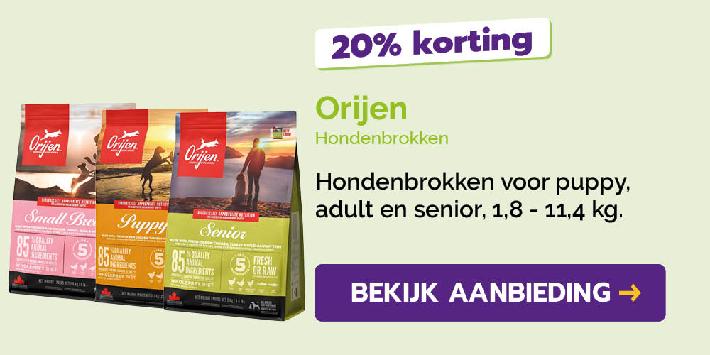 Dagaanbieding
