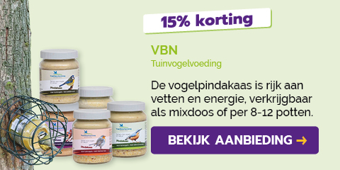 Dagaanbieding