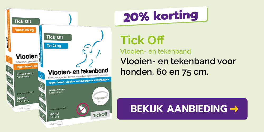 Dagaanbieding