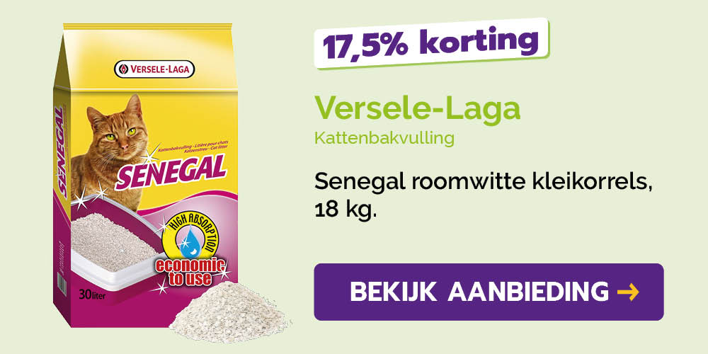 Dagaanbieding