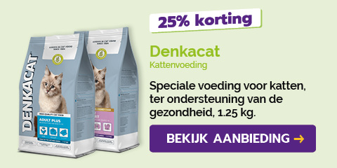 Dagaanbieding