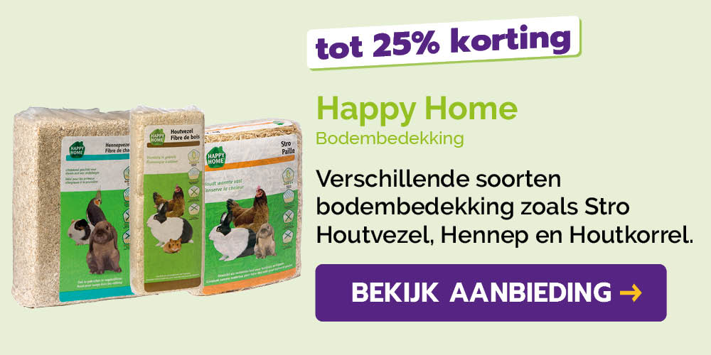 Dagaanbieding