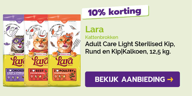 Dagaanbieding