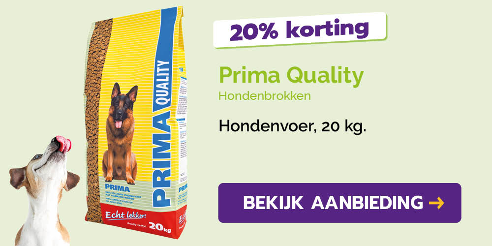 Dagaanbieding