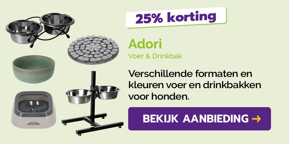 Dagaanbieding