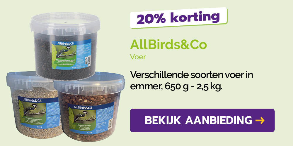 Dagaanbieding