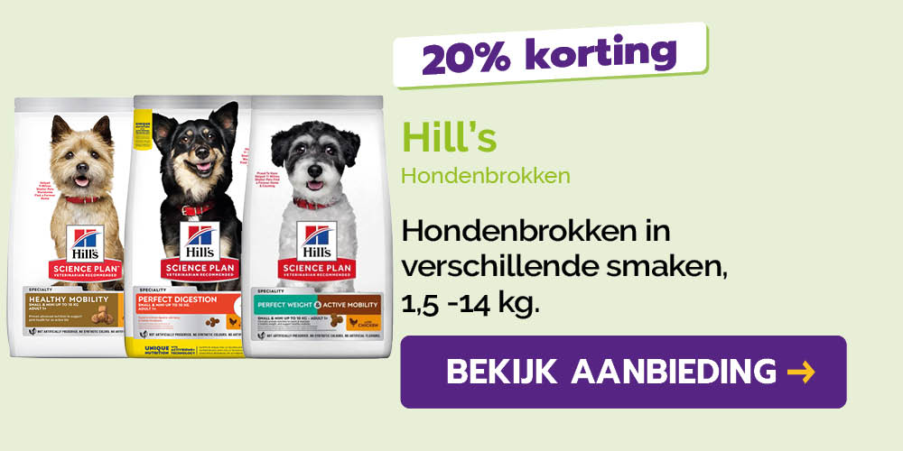 Dagaanbieding