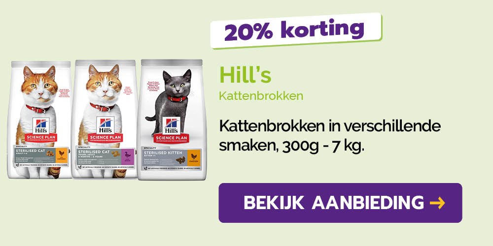 Dagaanbieding