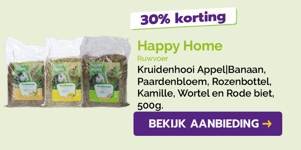 Dagaanbieding