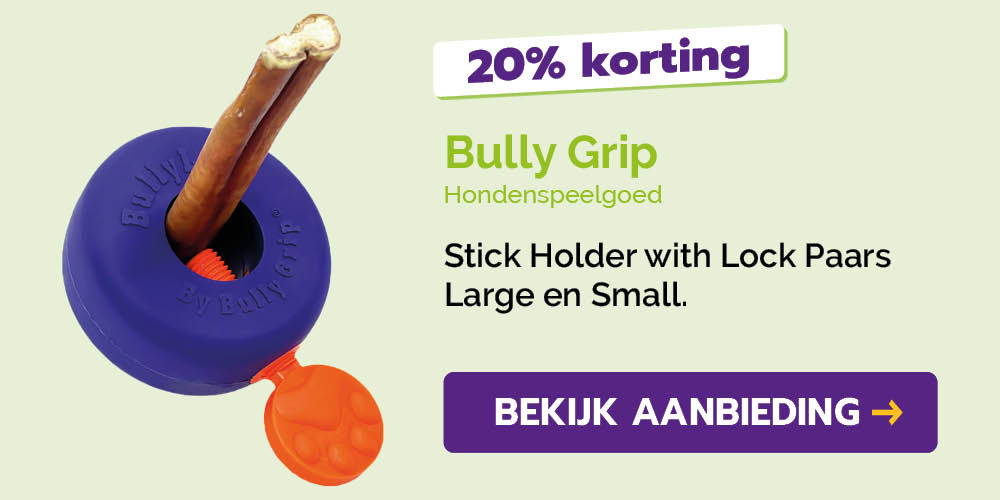 Dagaanbieding