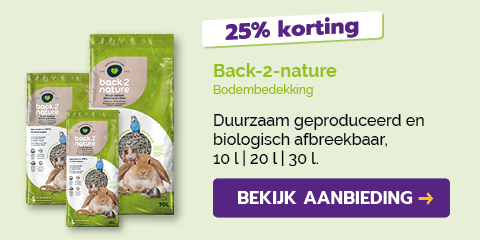 Dagaanbieding