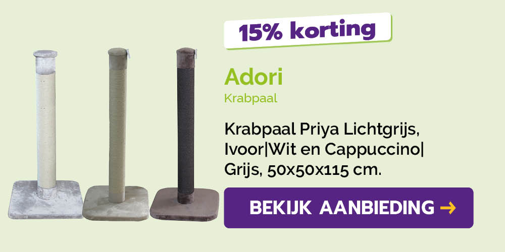Dagaanbieding