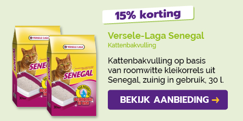 Dagaanbieding
