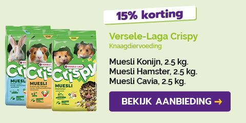 Dagaanbieding