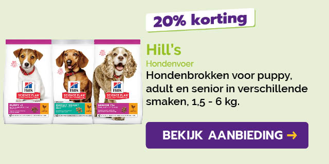 Dagaanbieding