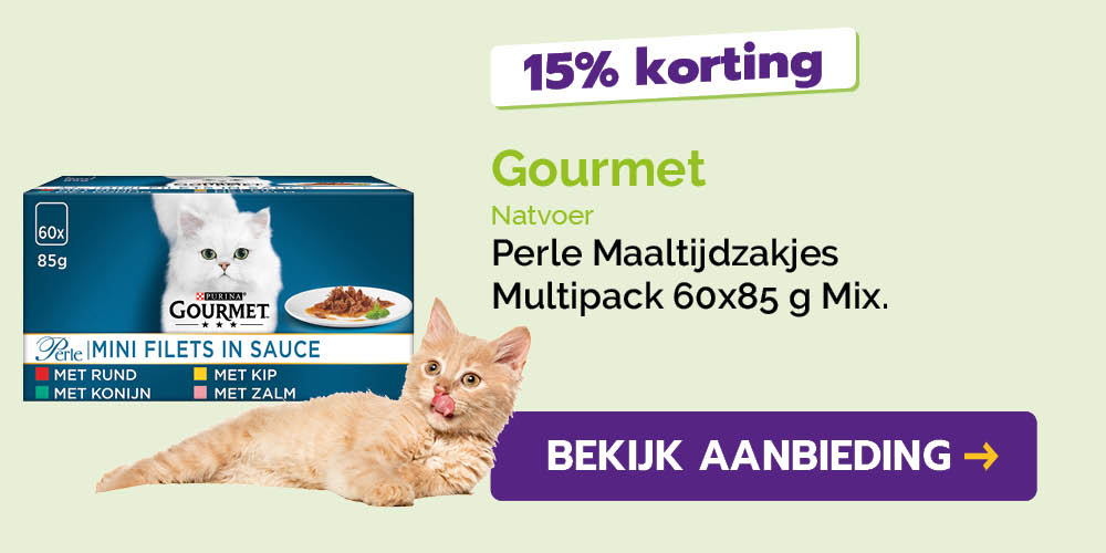 Dagaanbieding