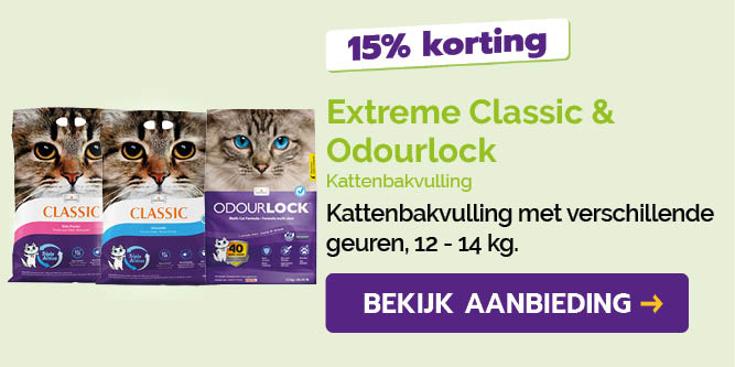 Dagaanbieding