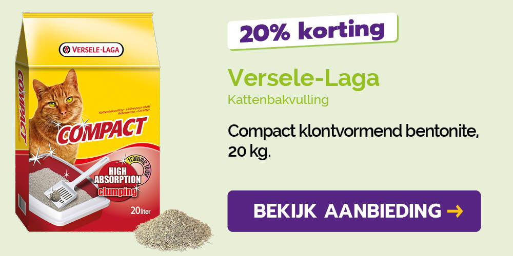 Dagaanbieding