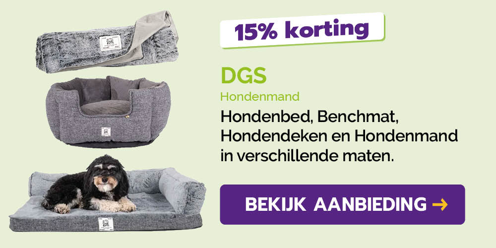 Dagaanbieding