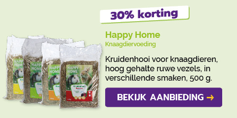 Dagaanbieding
