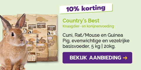Dagaanbieding