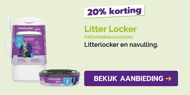 Dagaanbieding
