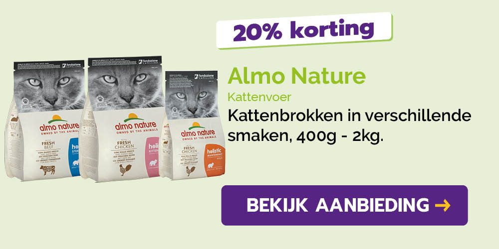 Dagaanbieding