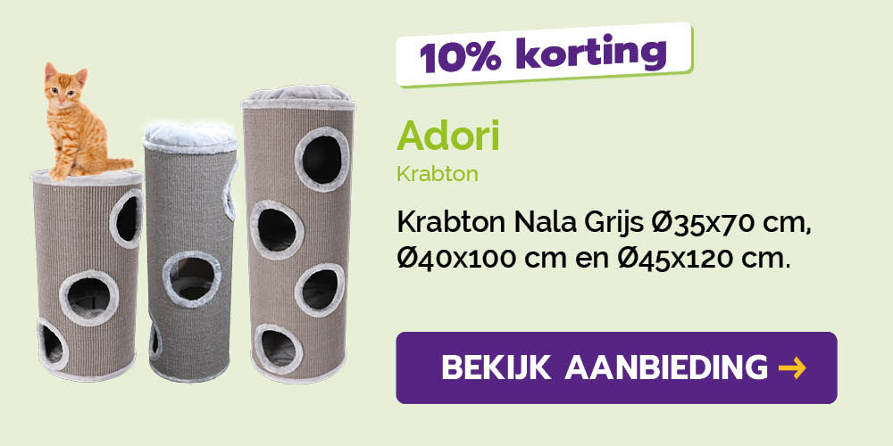 Dagaanbieding
