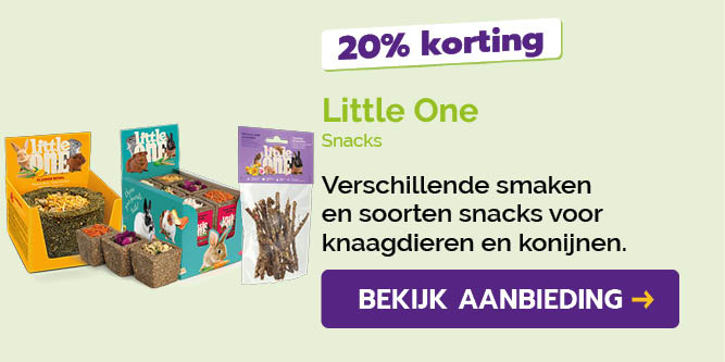 Dagaanbieding