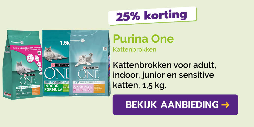 Dagaanbieding