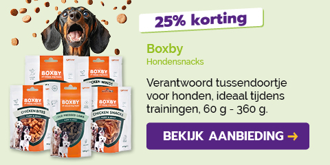 Dagaanbieding