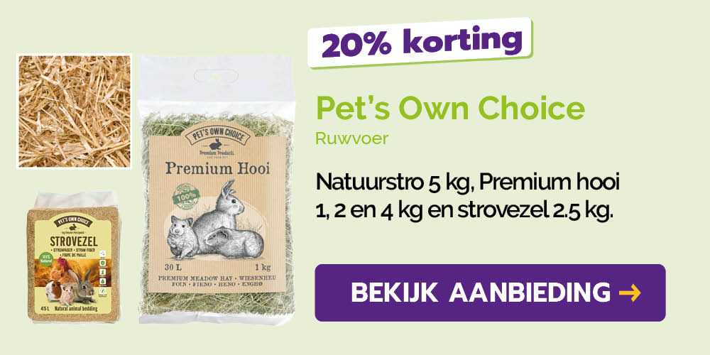 Dagaanbieding