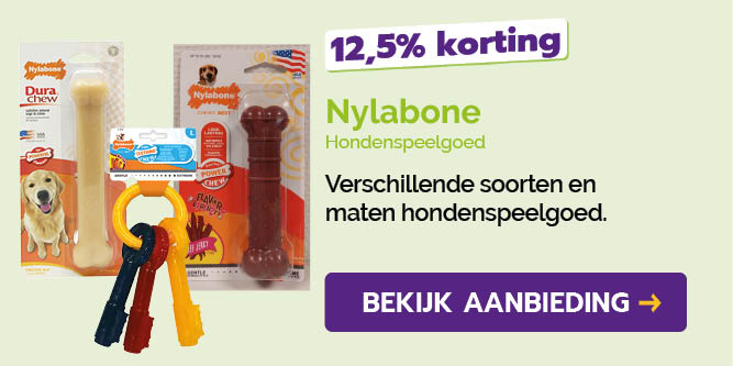 Dagaanbieding