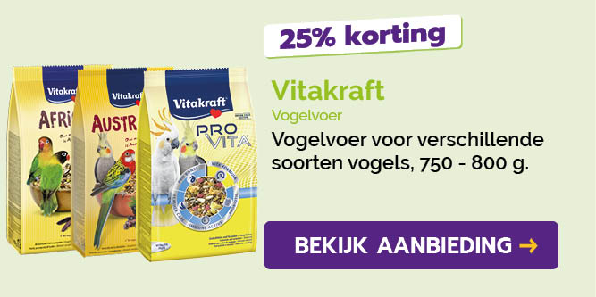 Dagaanbieding