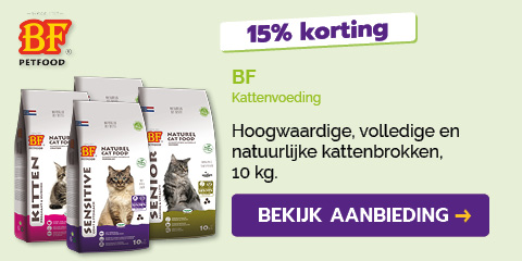Dagaanbieding