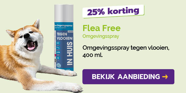 Dagaanbieding