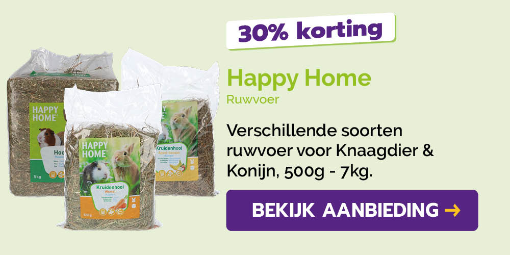 Dagaanbieding