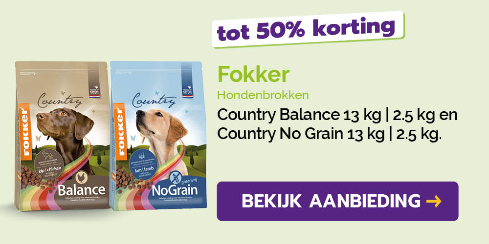 Dagaanbieding