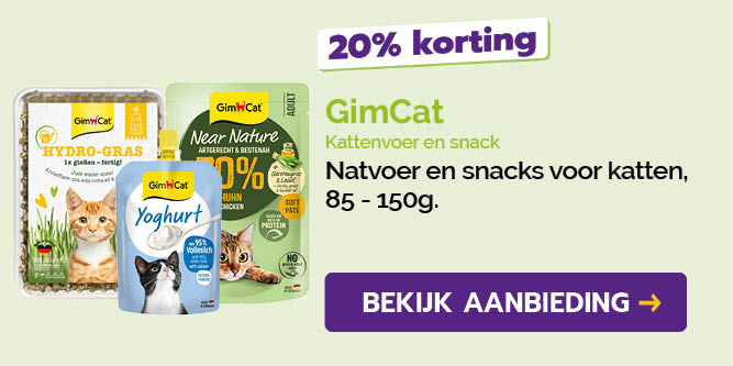 Dagaanbieding