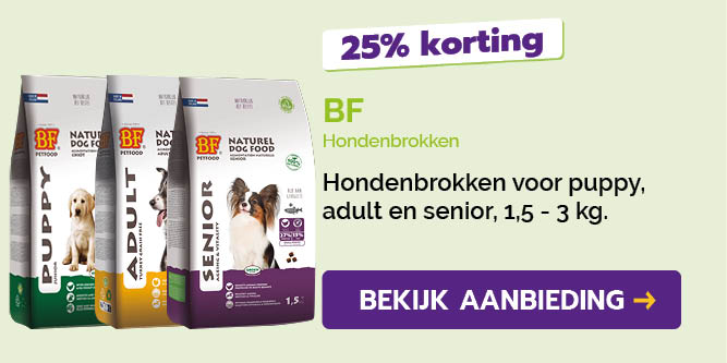 Dagaanbieding