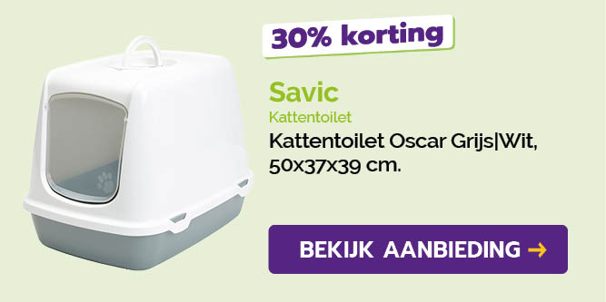 Dagaanbieding