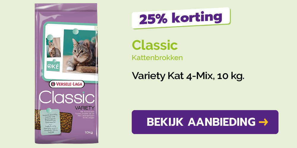 Dagaanbieding